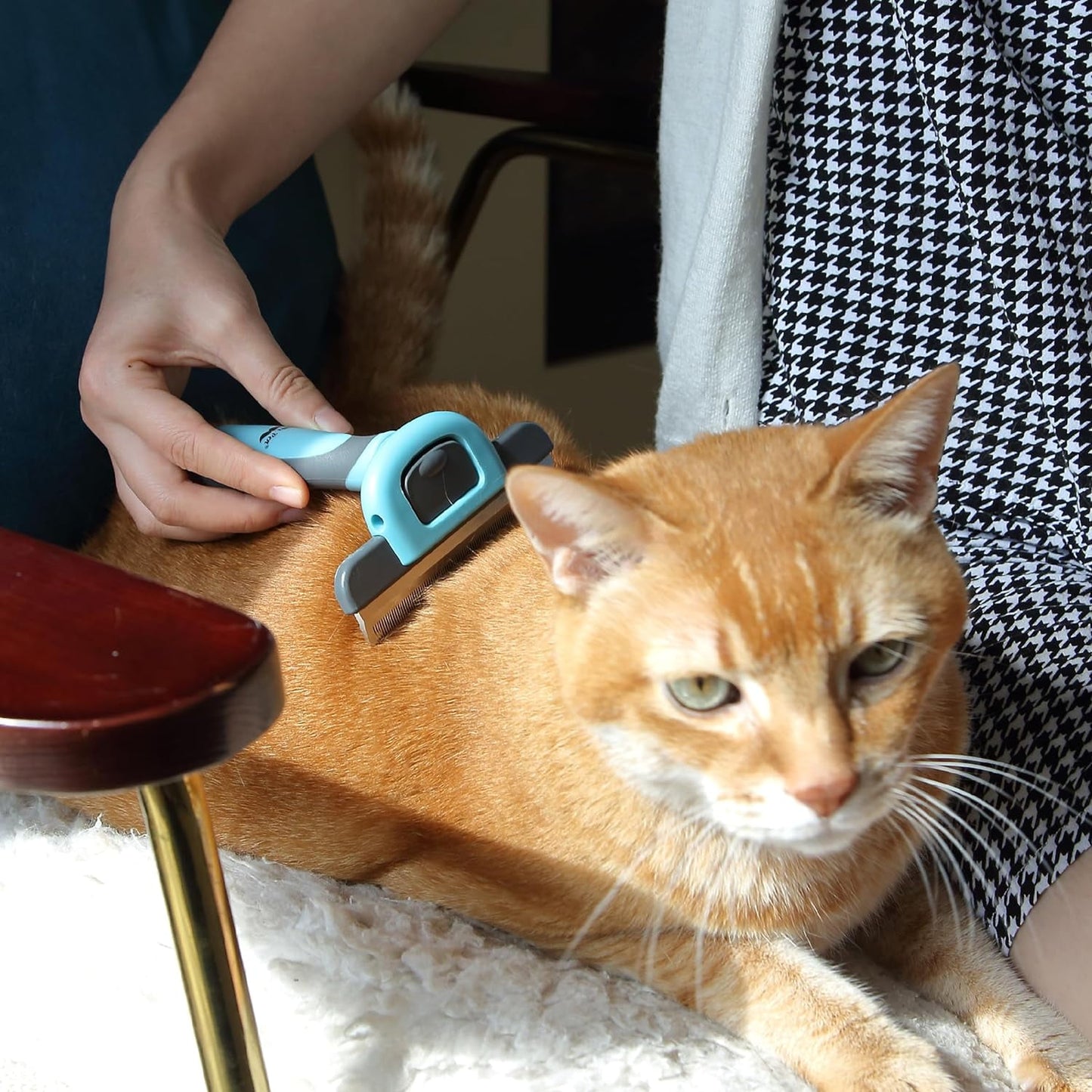 Mr. Pen- Pet Grooming Brush, Dog Brush for Shedding, Dog Shedding Brush