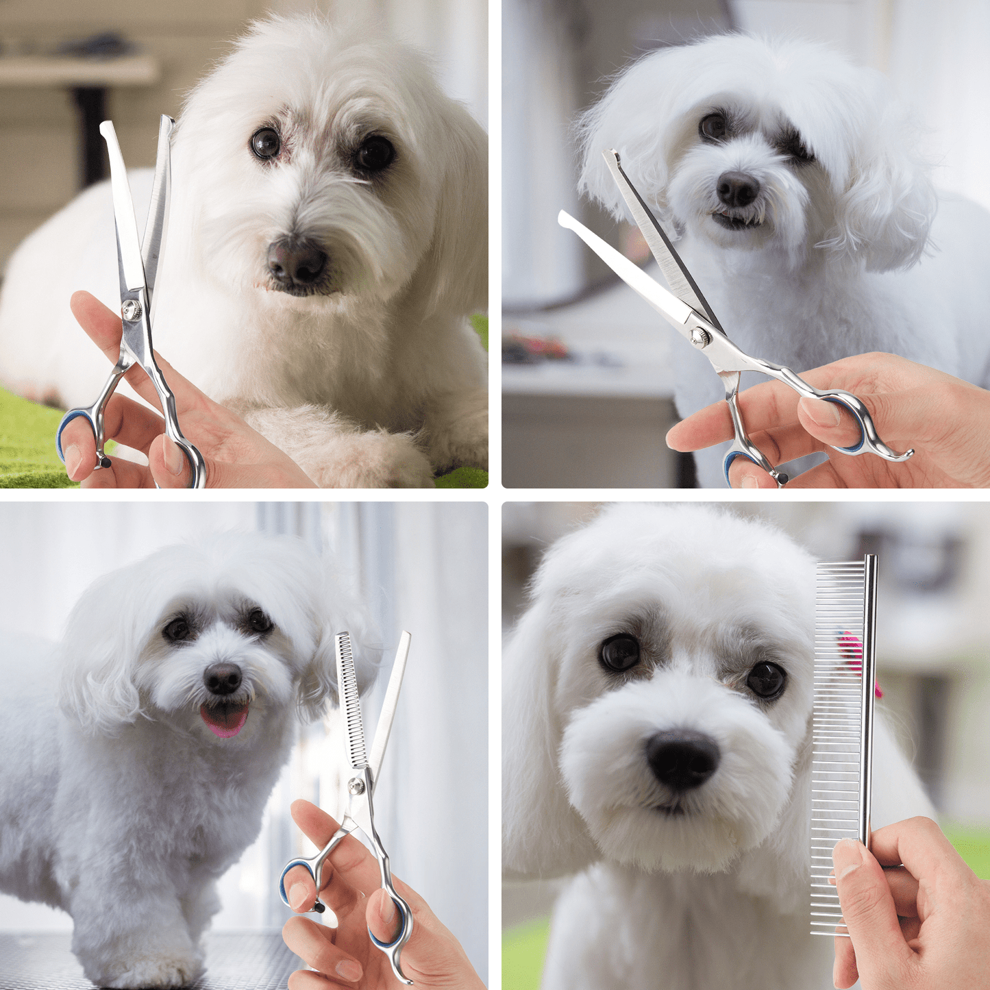 Cat Dog Grooming Shears 4-in-1 Pet Grooming Scissors for Cutting, Shaping, Thinning Fur