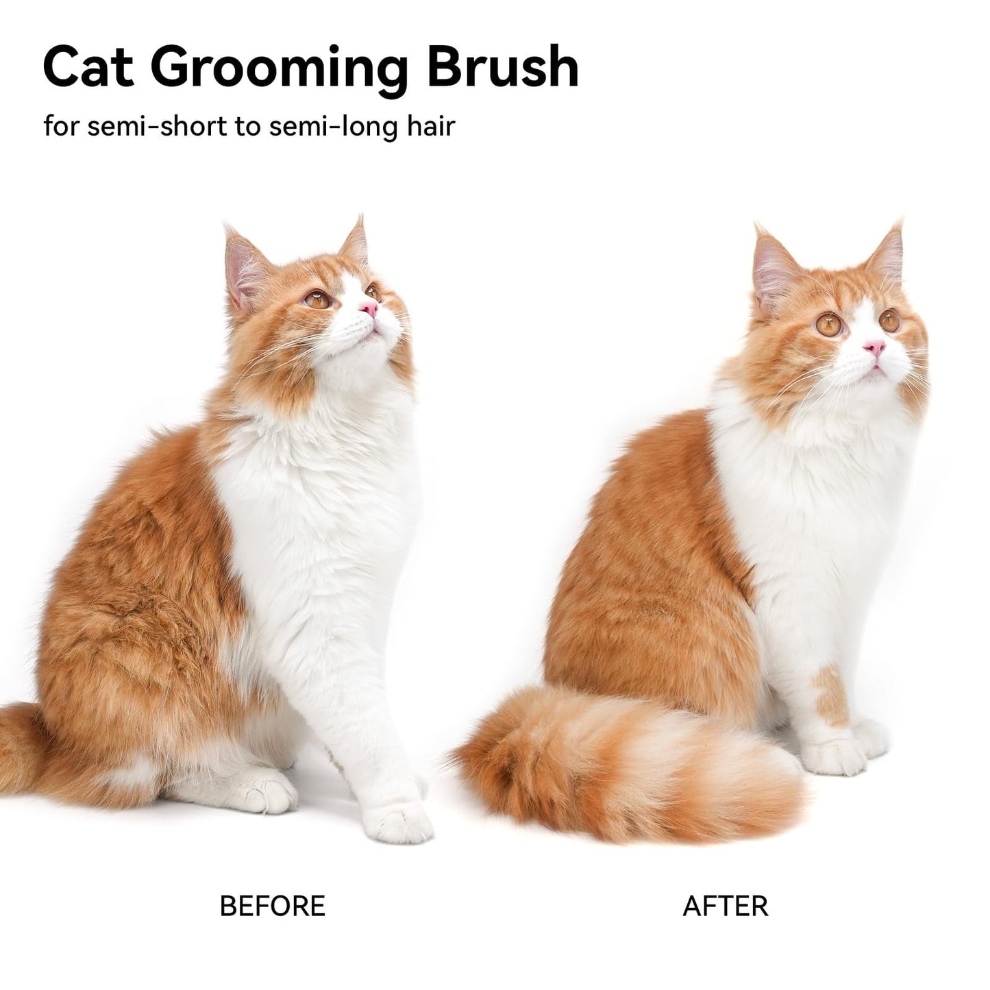 aumuca Cat Brush for Shedding, Cat Brushes for Indoor Cats, Cat Brush for Long or Short Haired Cats, Removes Loose Fur