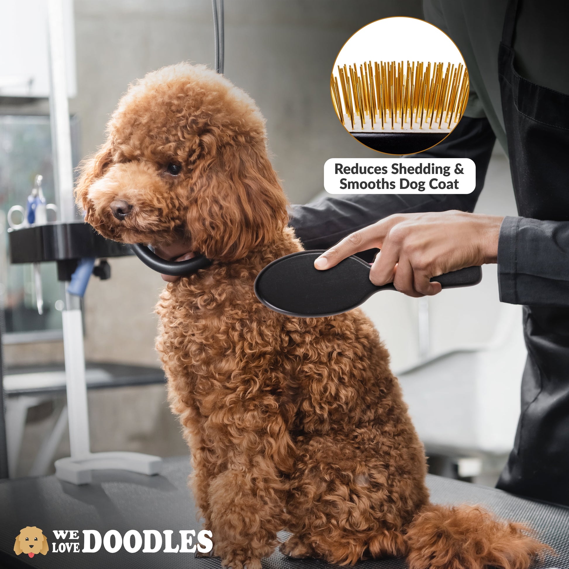 We Love Doodles Pin Brush For Dogs, Pet Grooming Detangler Pin Dog Brush, Dog Brush For Shedding & Loose Fur, Gold Pins Long Haired Pets