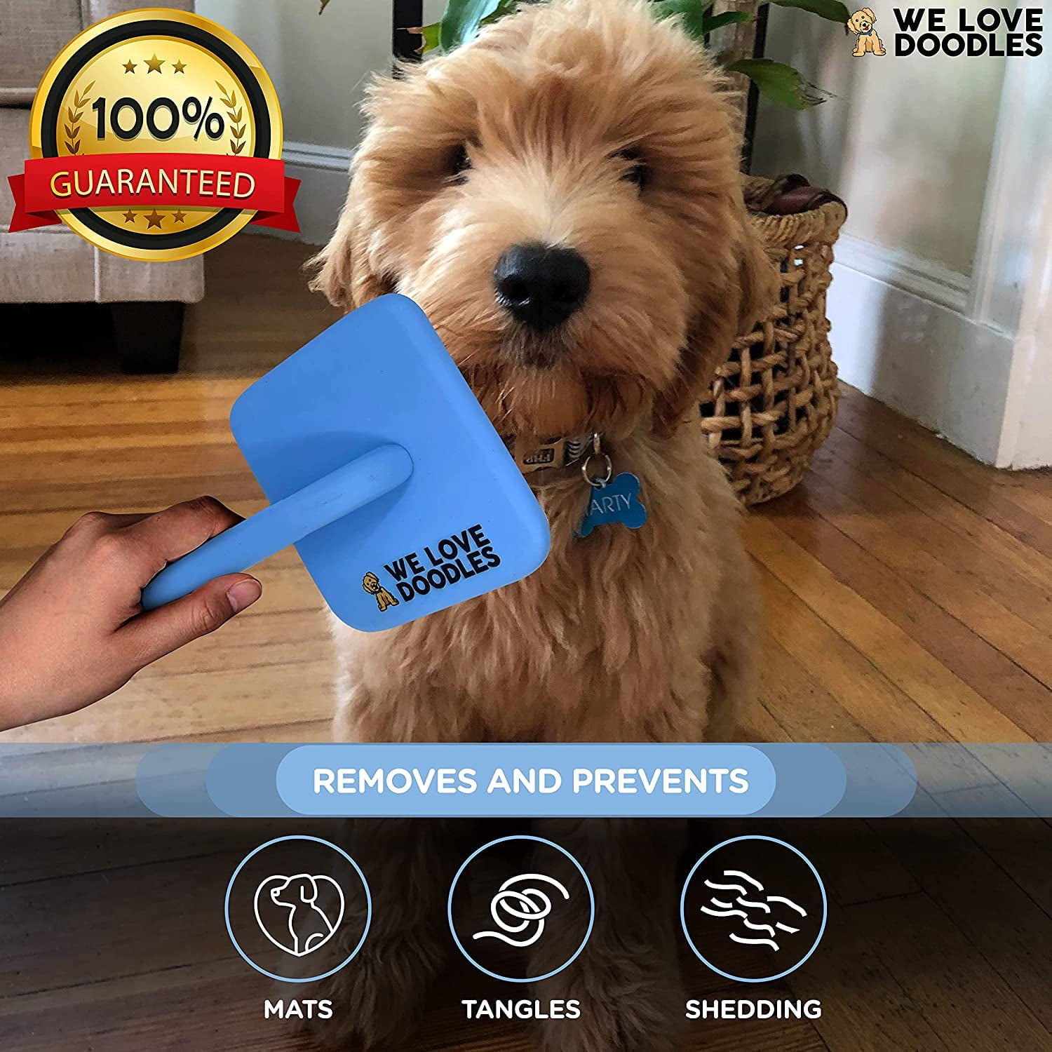We Love Doodles Dog Slicker Brush, Dog Doodle Brush for Grooming Pet Hair Dog Brush, Poodle & Goldendoodle Brush for Dogs (Large)