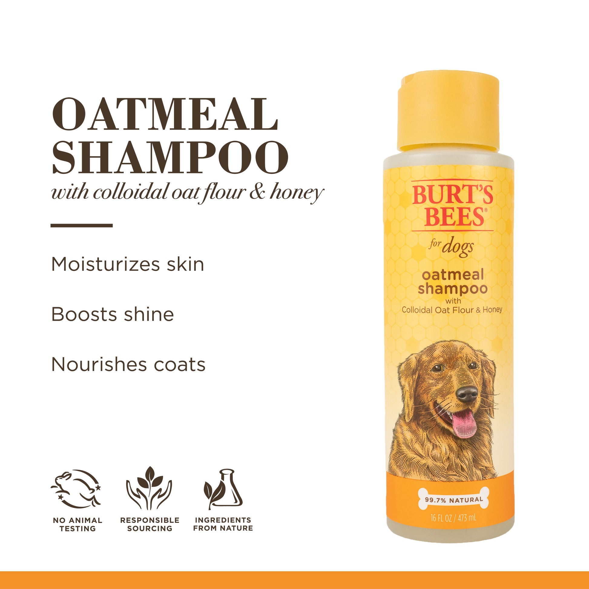 Burt's Bees Oatmeal Dog Shampoo with Colloidal Oat Flour and Honey, 16 oz.