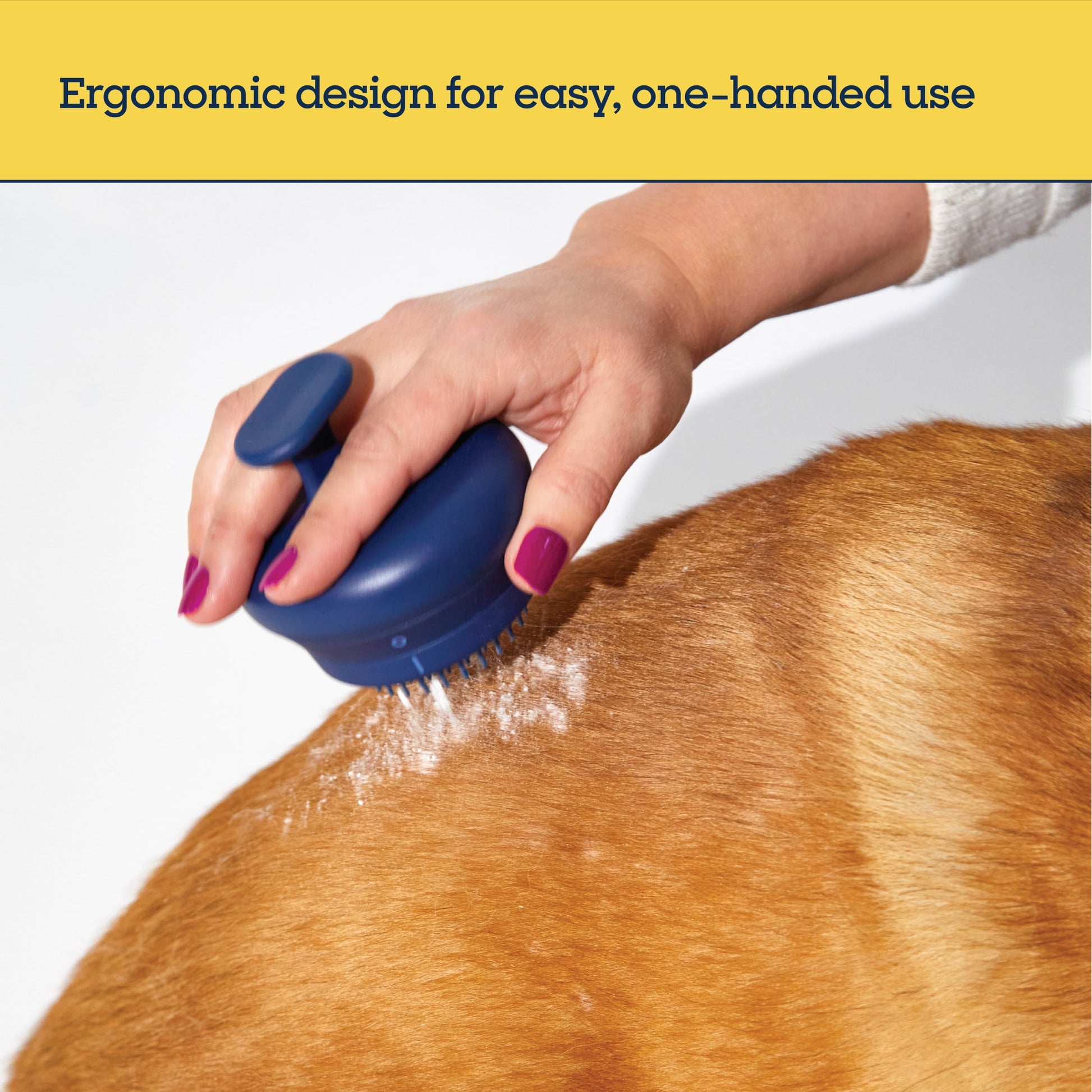 Pet Life Unlimited Waterless Powder All-in-One Applicator Dog Brush, Vanilla Ginger, 1pk