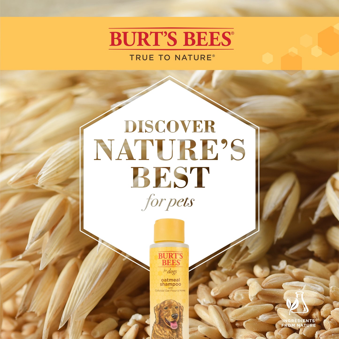 Burt's Bees Oatmeal Dog Shampoo with Colloidal Oat Flour and Honey, 16 oz.