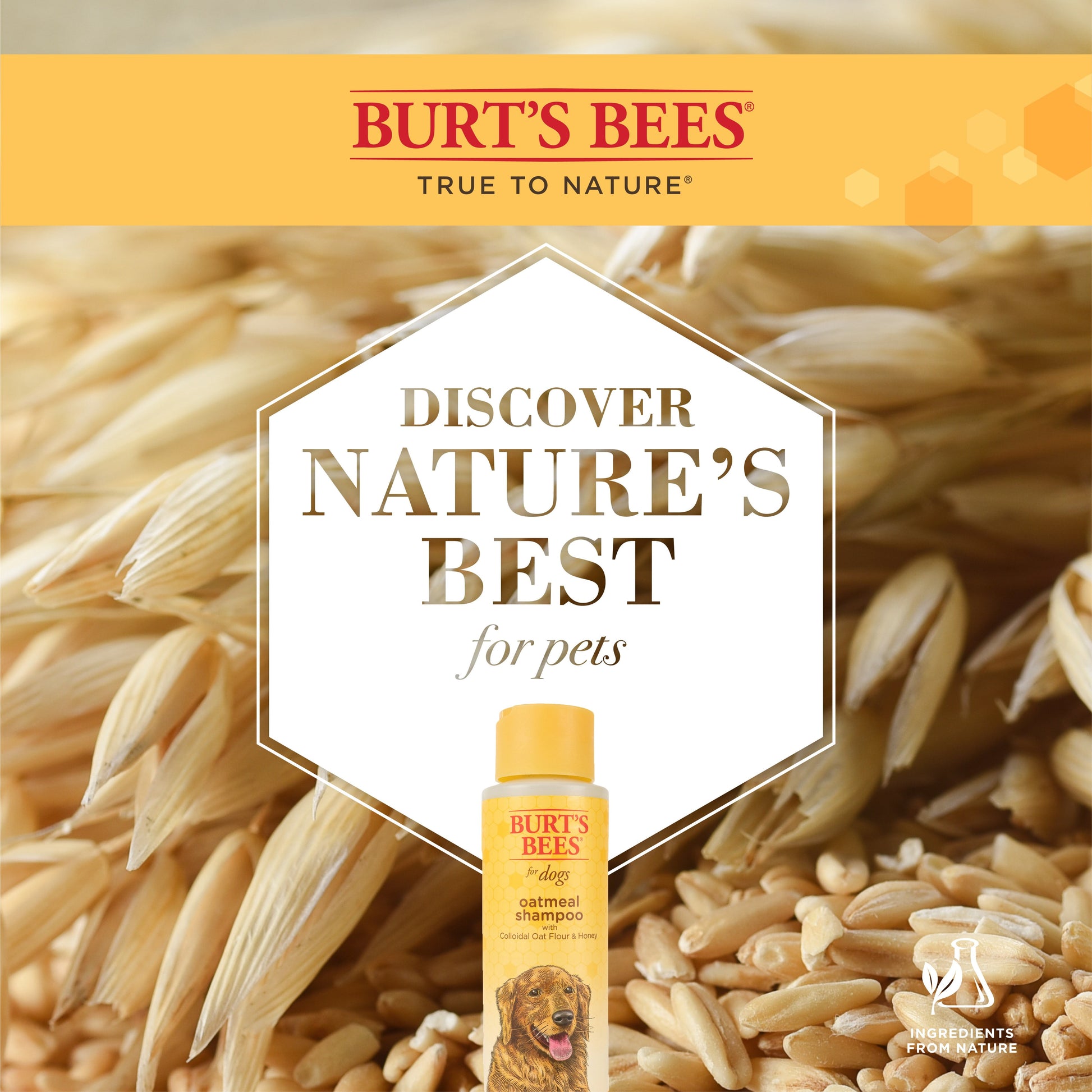 Burt's Bees Oatmeal Dog Shampoo with Colloidal Oat Flour and Honey, 16 oz.