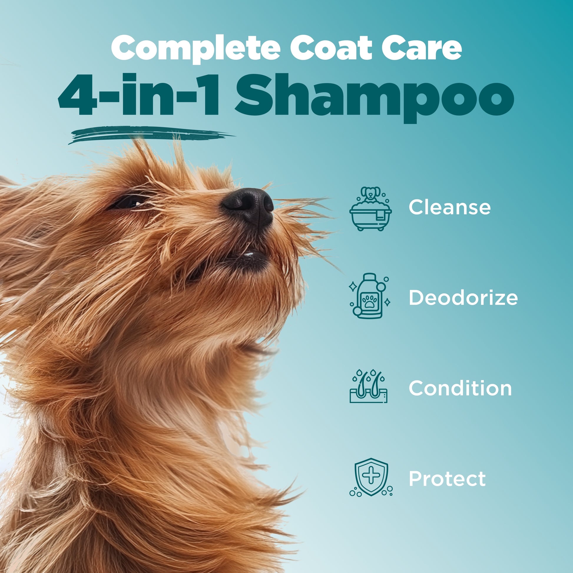 Dog Wash™ 4-in-1 Shampoo – Cleans, Conditions, Detangles & Moisturizes, Lavender Scent, 12oz