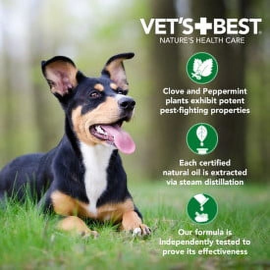 Vet's Best Flea & Tick Waterless Bath Foam for Dogs - Peppermint Scented - 8 oz.