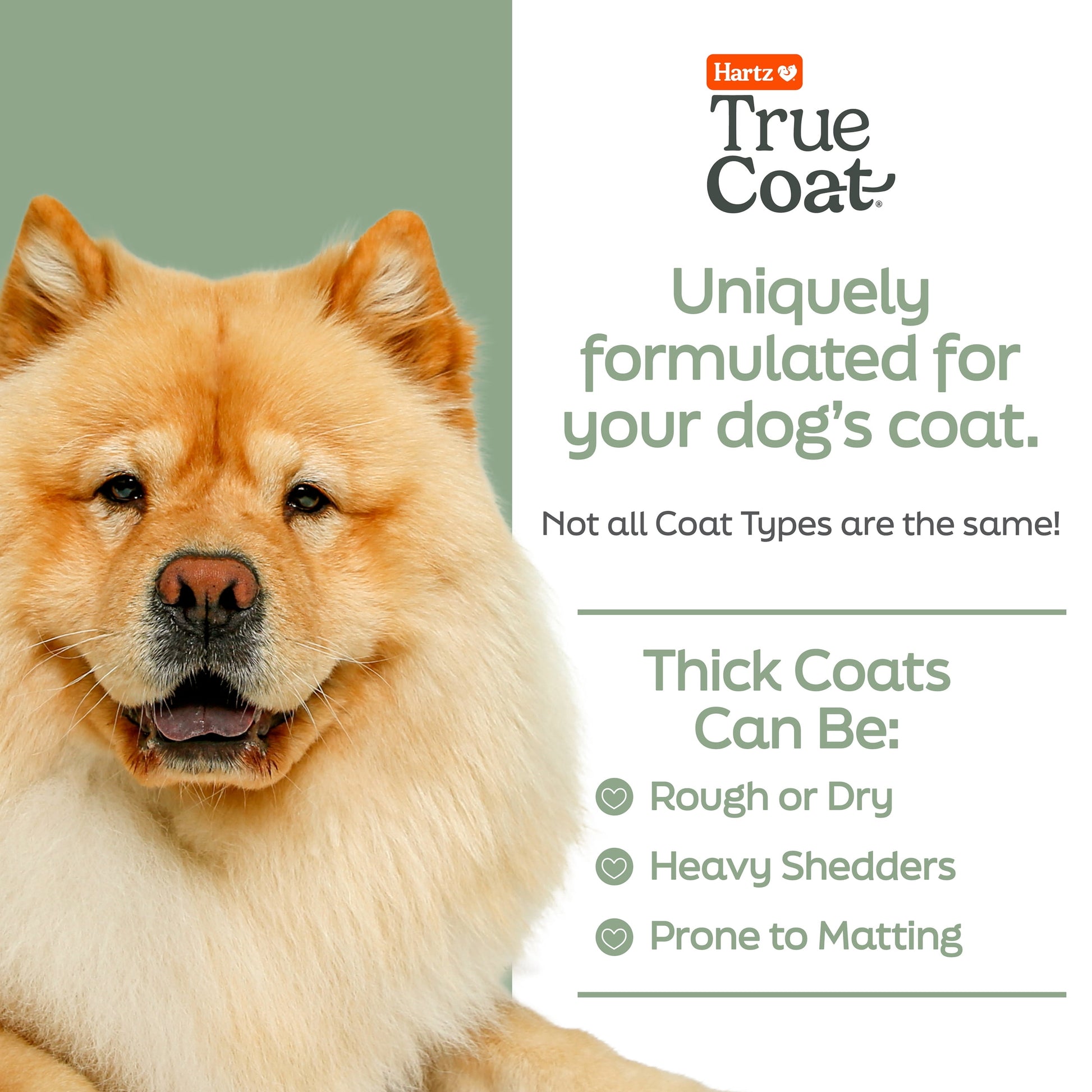 Hartz True Coat Thick Dog Fur Shampoo De-Sheds & Softens Hair with Oat Milk, Coconut Oil & Aloe, 16 oz