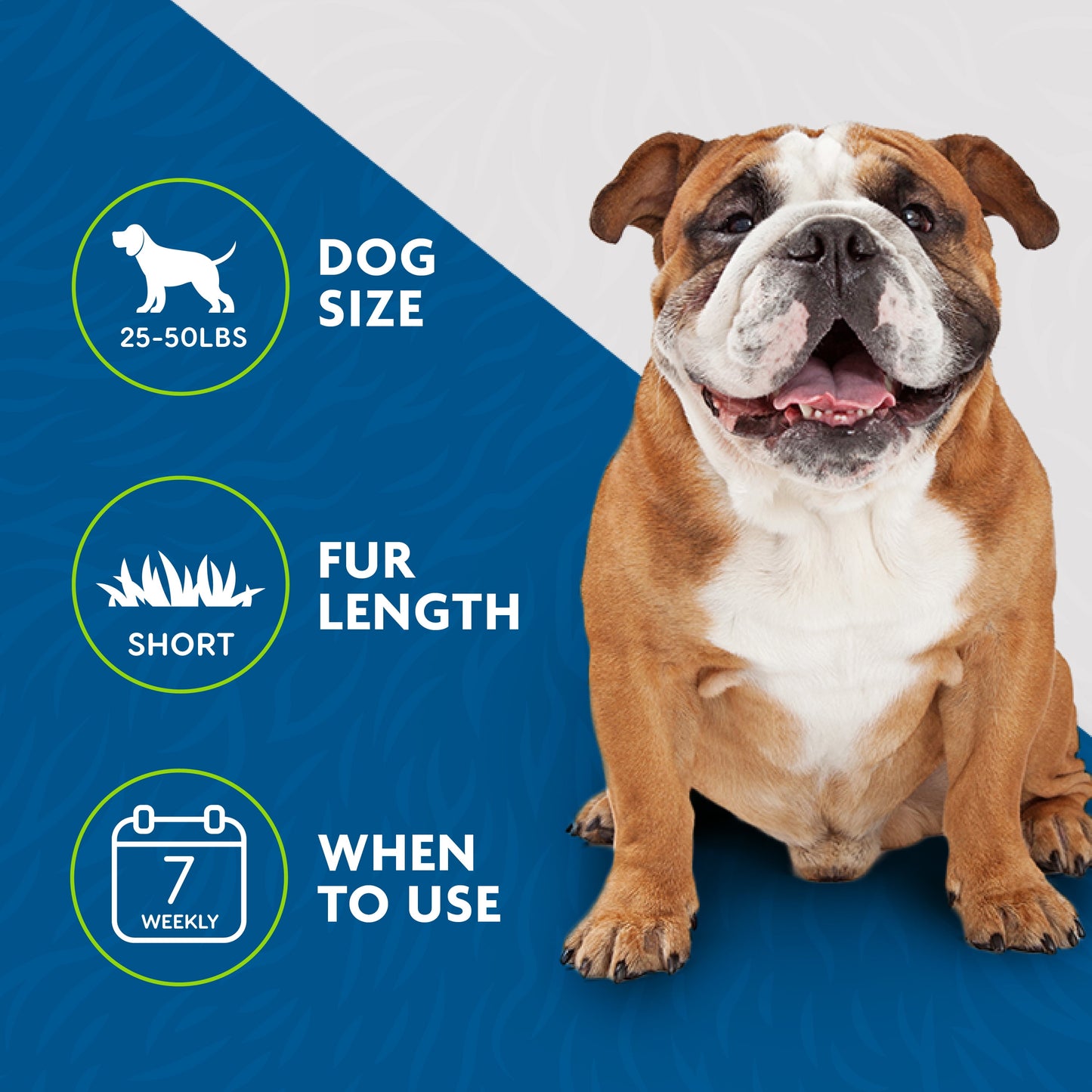 FURminator Medium Dog Undercoat deShedding Tool for Short Hair, Reduces Loose Hair from Shedding