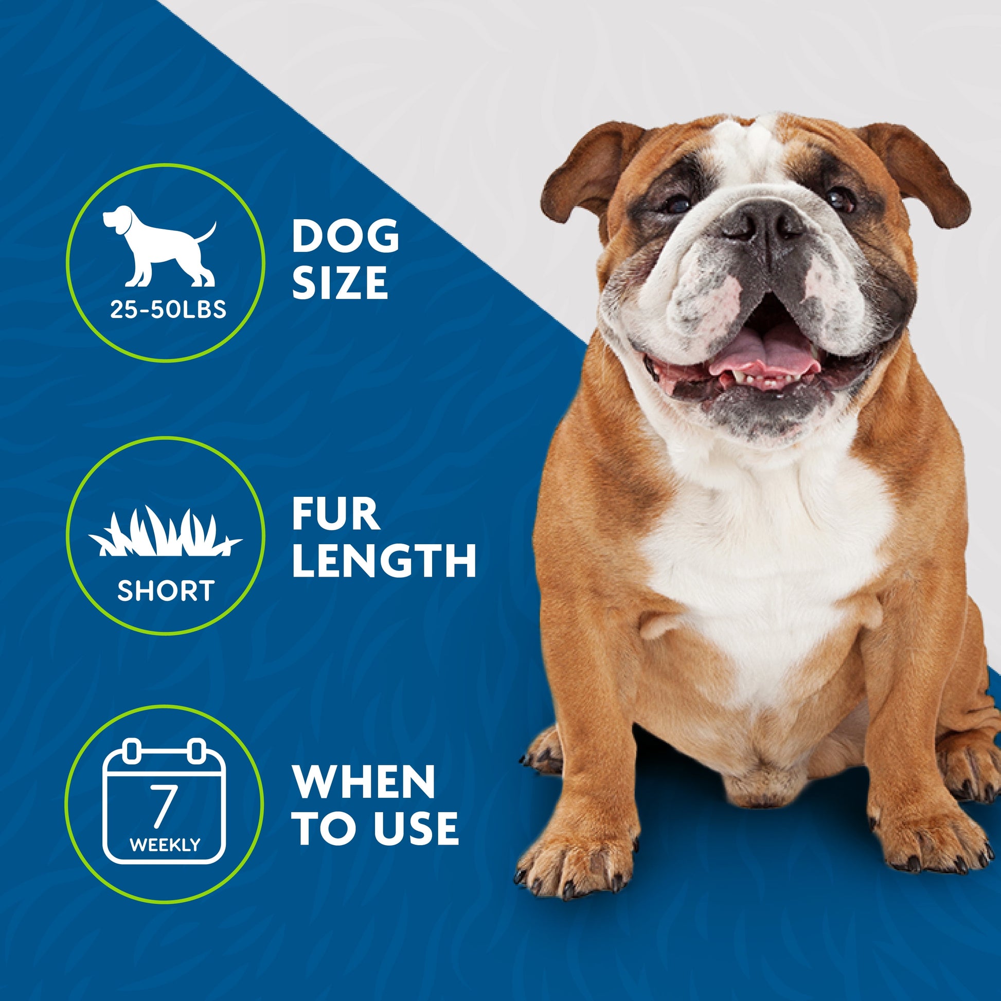 FURminator Medium Dog Undercoat deShedding Tool for Short Hair, Reduces Loose Hair from Shedding