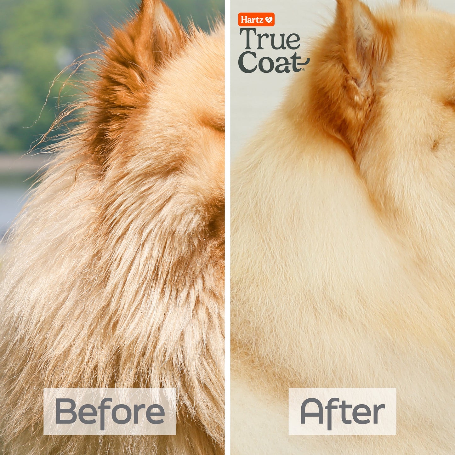Hartz True Coat Thick Dog Fur Shampoo De-Sheds & Softens Hair with Oat Milk, Coconut Oil & Aloe, 16 oz