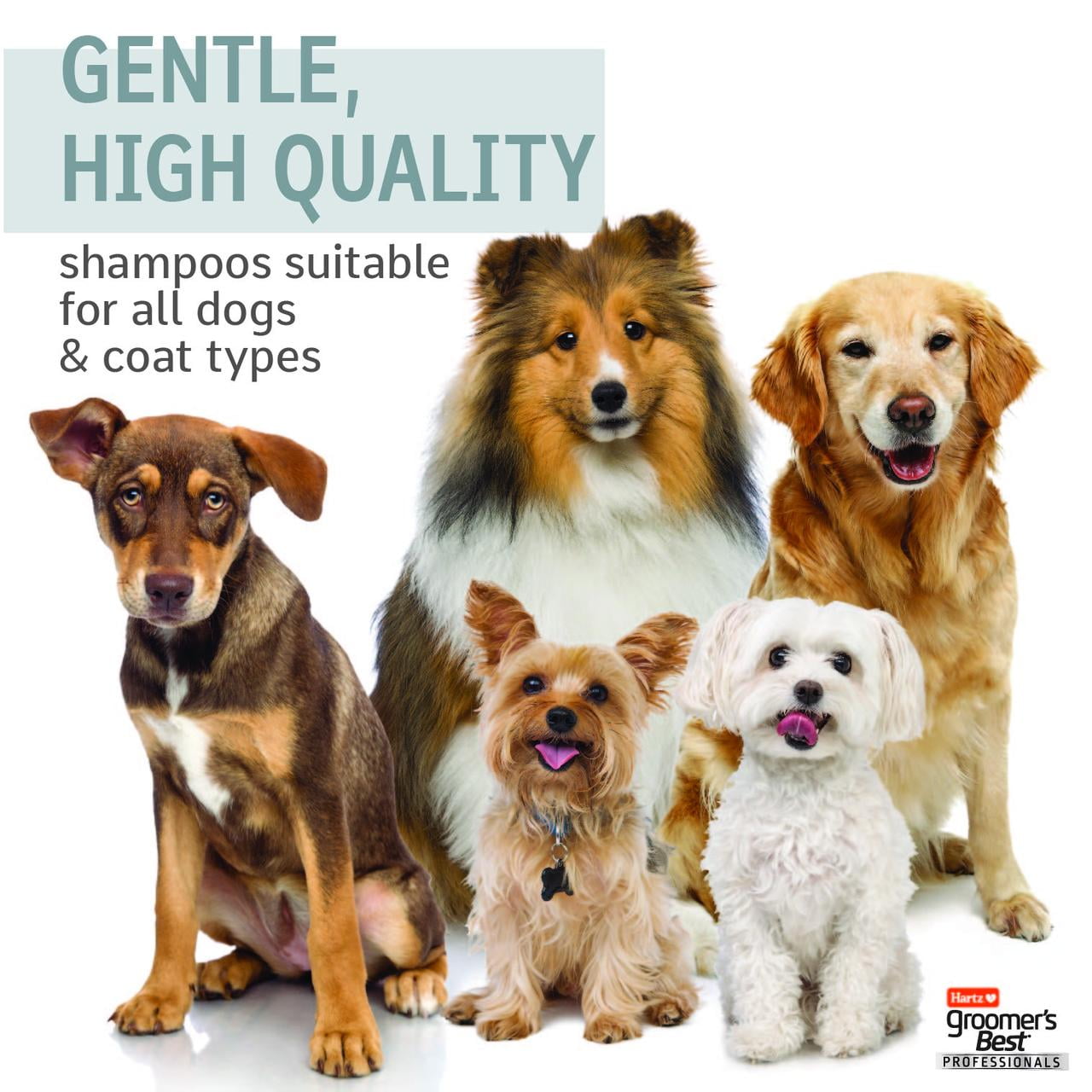 Hartz Groomer's Best PROFESSIONALS 6 IN 1 Dog Shampoo, 18 fl oz.
