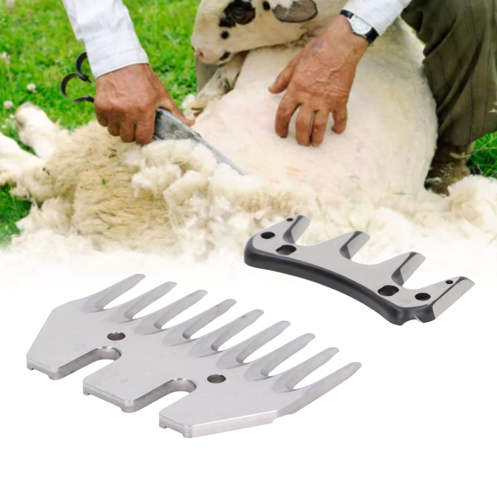 Electric Clipper Blade, Electric Sheep Shear Blade Wear Resistance 9 Tooth High Carbon Steel For Yamma