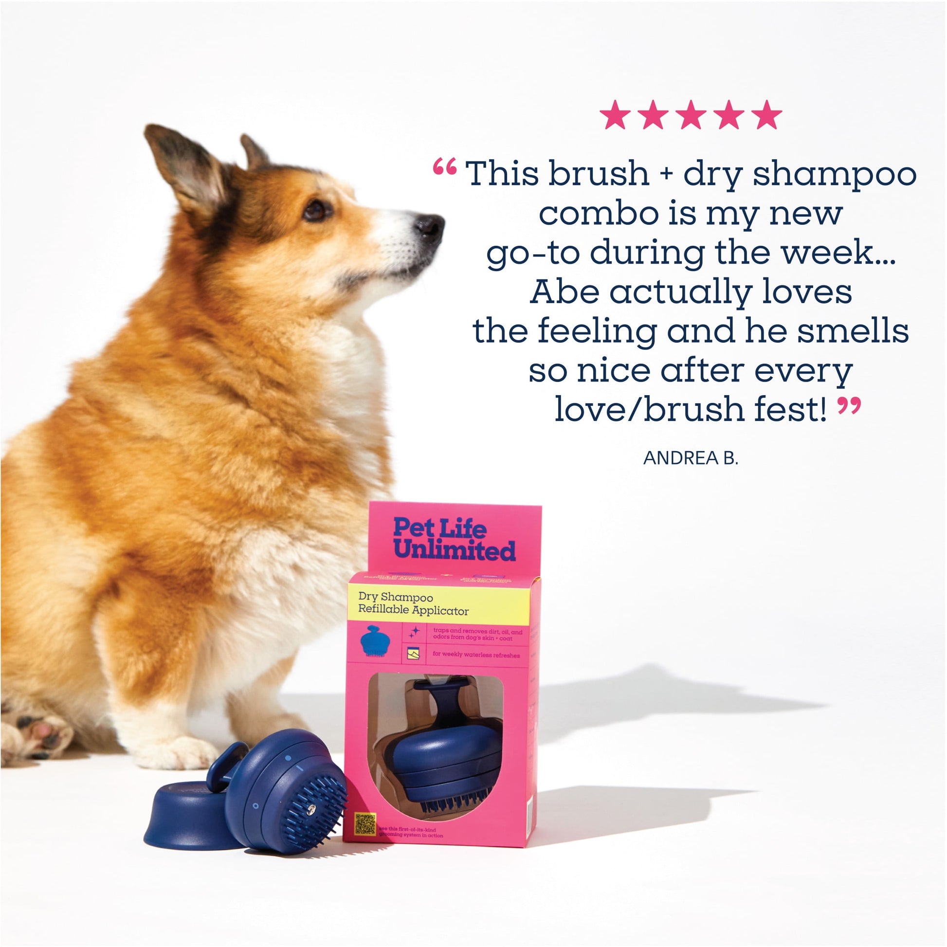 Pet Life Unlimited Waterless Powder All-in-One Applicator Dog Brush, Vanilla Ginger, 1pk