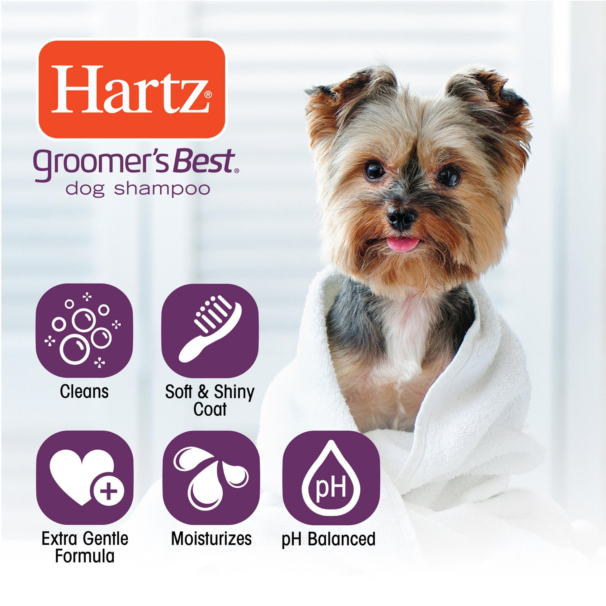 (5 pack) Hartz Groomer's Best Extra Gentle Soothing Oatmeal Shampoo for Dogs with Chamomile Essential Oil, Buttermilk Scent, 18 fl oz