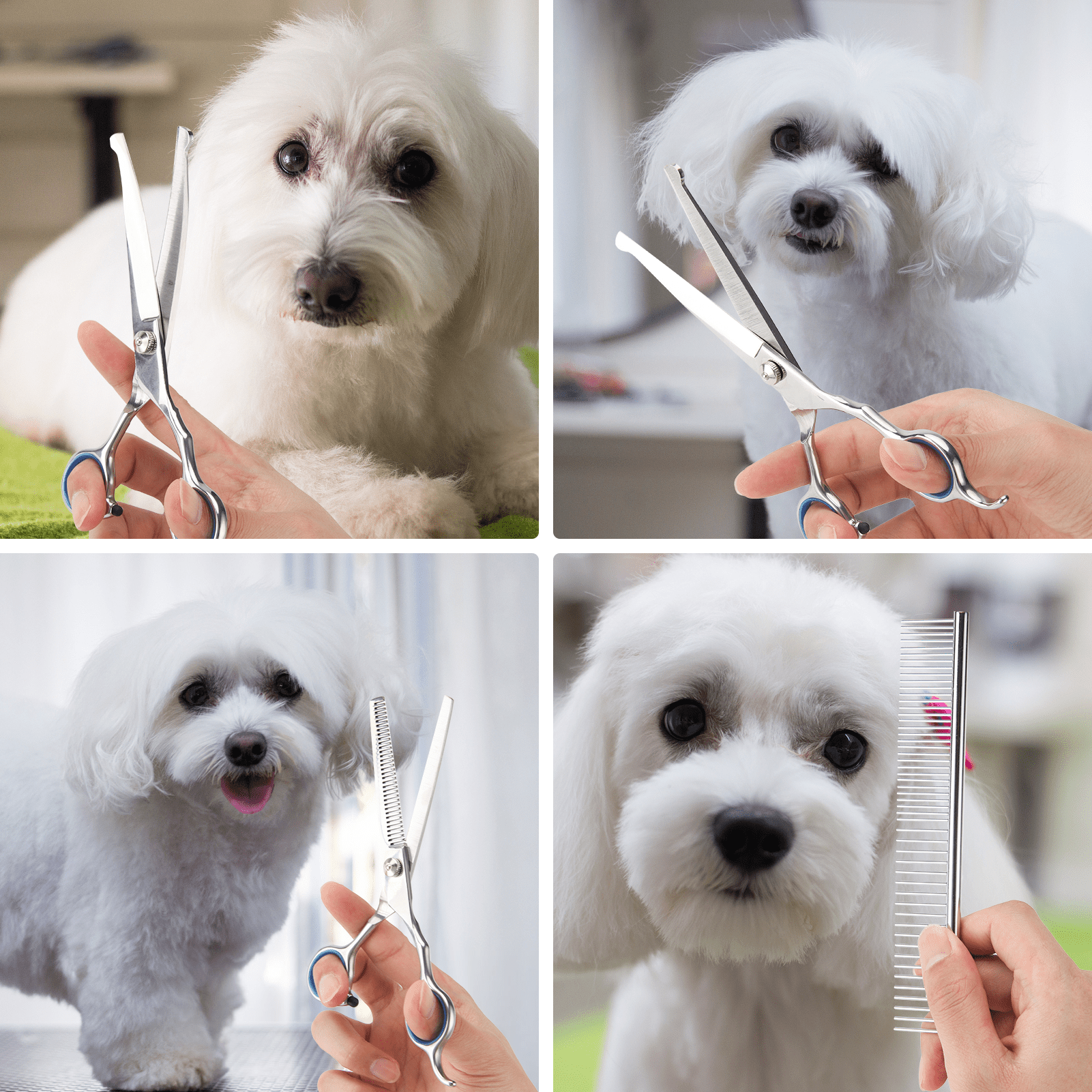 Cat Dog Grooming Shears 4-in-1 Pet Grooming Scissors for Cutting, Shaping, Thinning Fur
