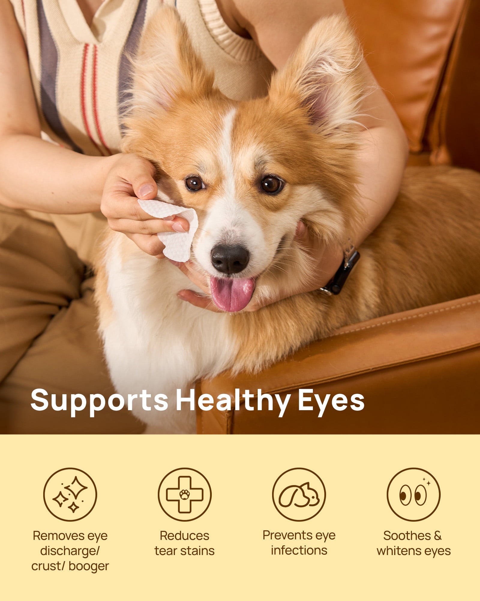 HICC Pet Hypoallergenic Eye Wipes for Dogs and Cats, 100 Ct, Tear Stain Removal and Skin Cleansing