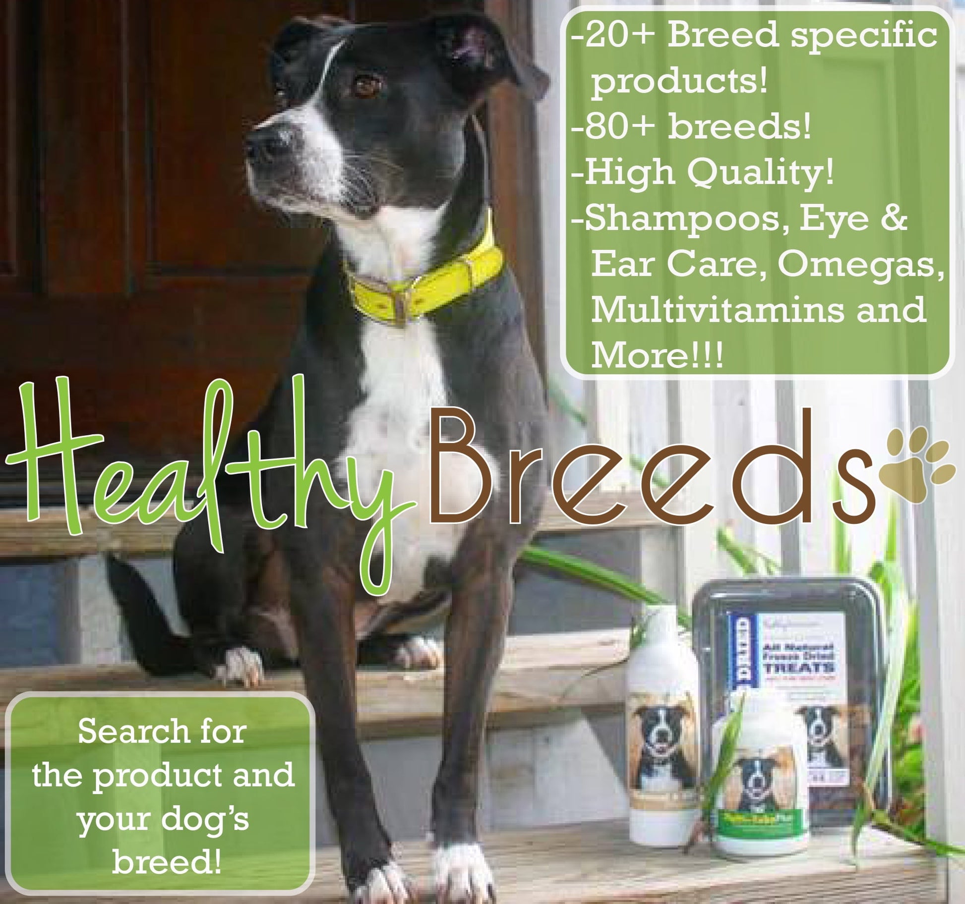 Healthy Breeds Miniature Schnauzer Deodorizing Dog Shampoo 16 oz