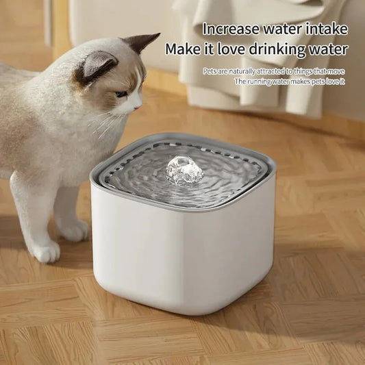 3L Large Capacity Canine Cat Dog Pet Circulating Filter Pet Fountain