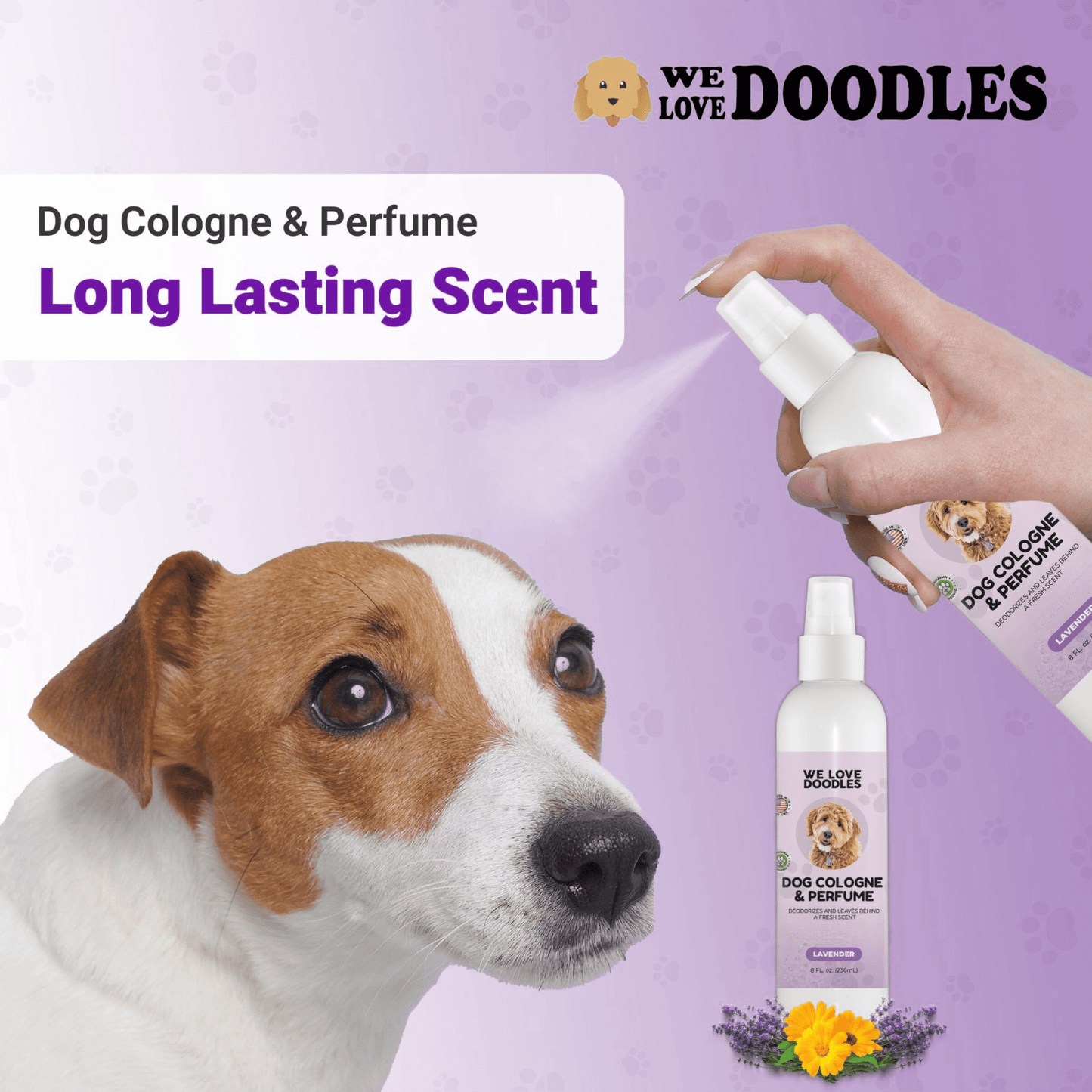 Clean Dog Cologne & Perfume, Deodorizing, Made In USA, For Smelly Dogs, Odor Eliminator Spray For Puppies, Lavender [We Love Doodles]
