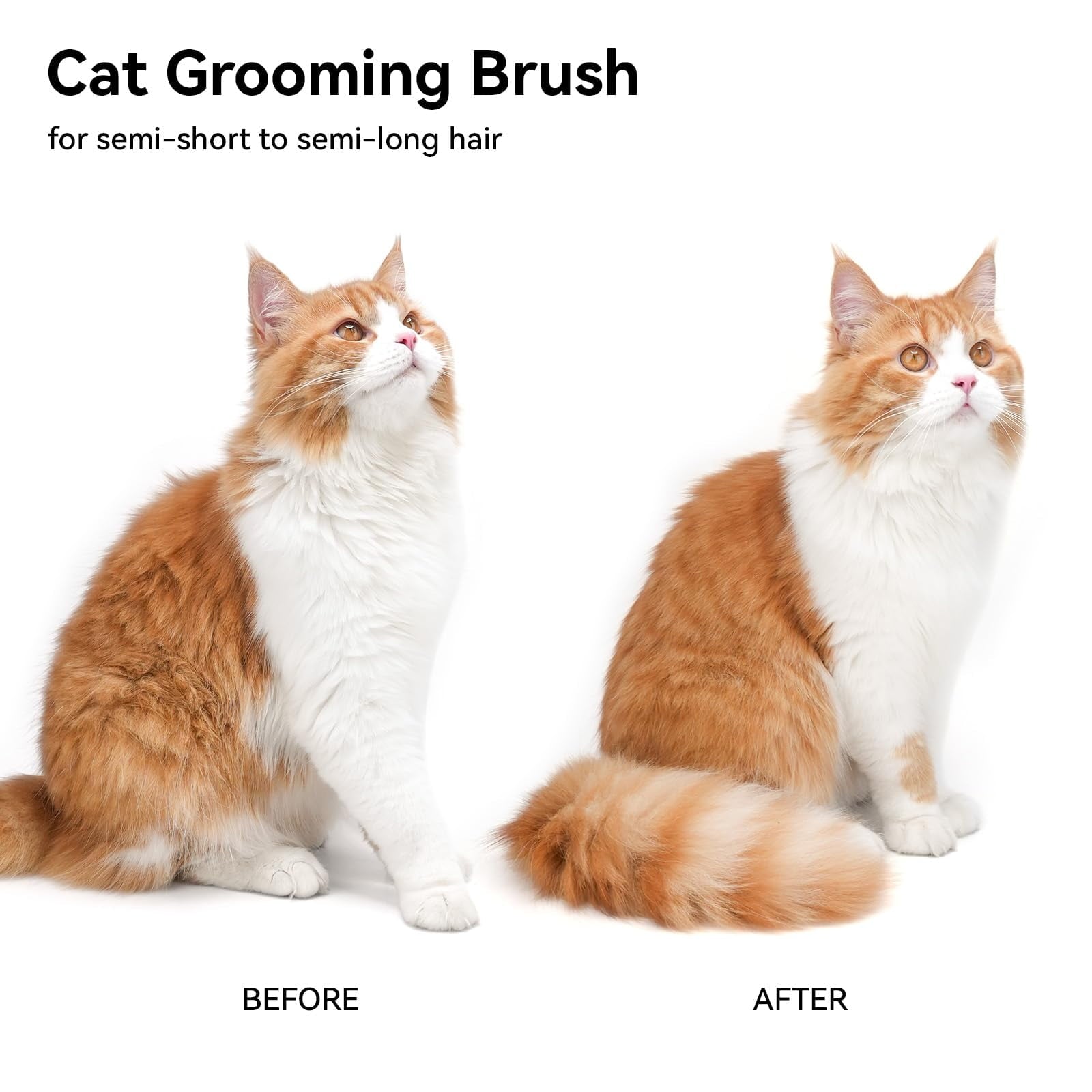 aumuca Cat Brush for Shedding, Cat Brushes for Indoor Cats, Cat Brush for Long or Short Haired Cats, Removes Loose Fur