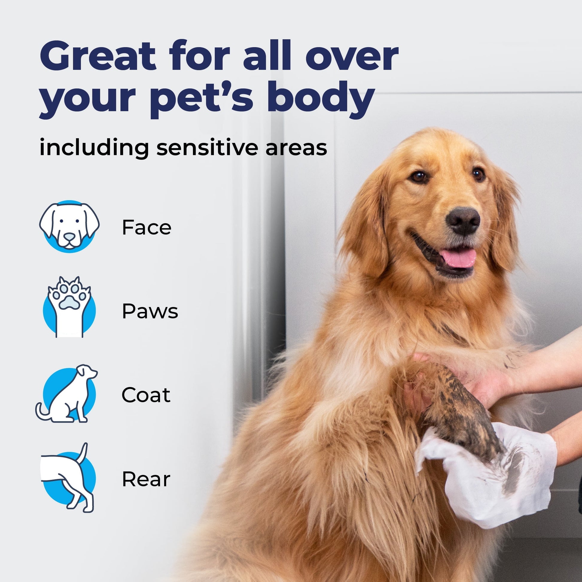 Vetnique Labs Furbliss Hygienic Pet Wipes for Dogs & Cats, Refreshing Scent, 100 Count