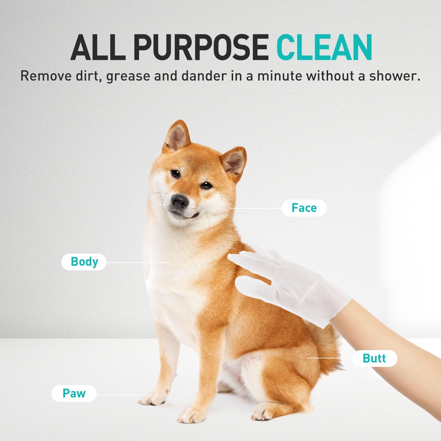 All For Paws Dog Grooming Wipes, Disposable Cat Glove Wipes, 12pcs