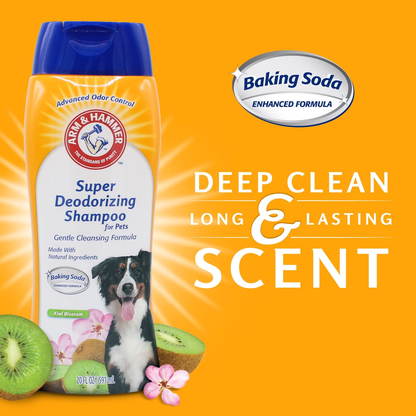 Arm & Hammer Dog Deodorizing Shampoo with Baking Soda, Kiwi Blossom Scent 20 oz