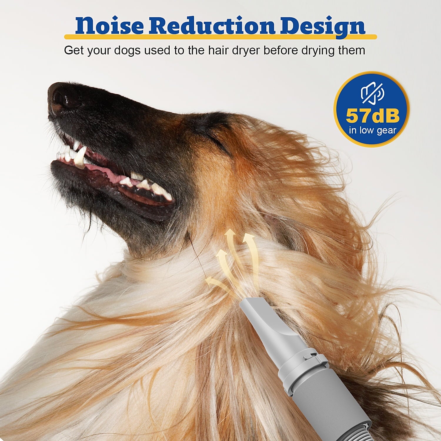 Dog Blower Pet Hair Dryer with Adjustable Speed Temperature, Large Dog Hair Grooming Blower after Bath Swimming, 7 Levels Airflow Heating Blower with 4 Nozzles