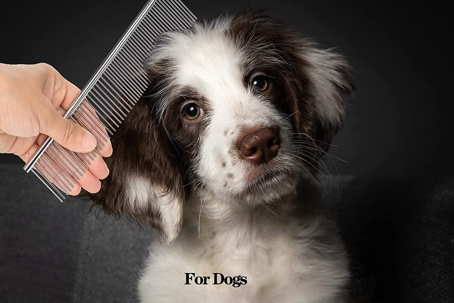 Metal Comb for Dogs, Metal Dog Combs, 2 Pack Cat Comb with Rounded Ends Stainless Steel Teeth, Professional Grooming Tool for Long and Short Matted Haired, Tangles and Knots, 7.48IN*1.57IN