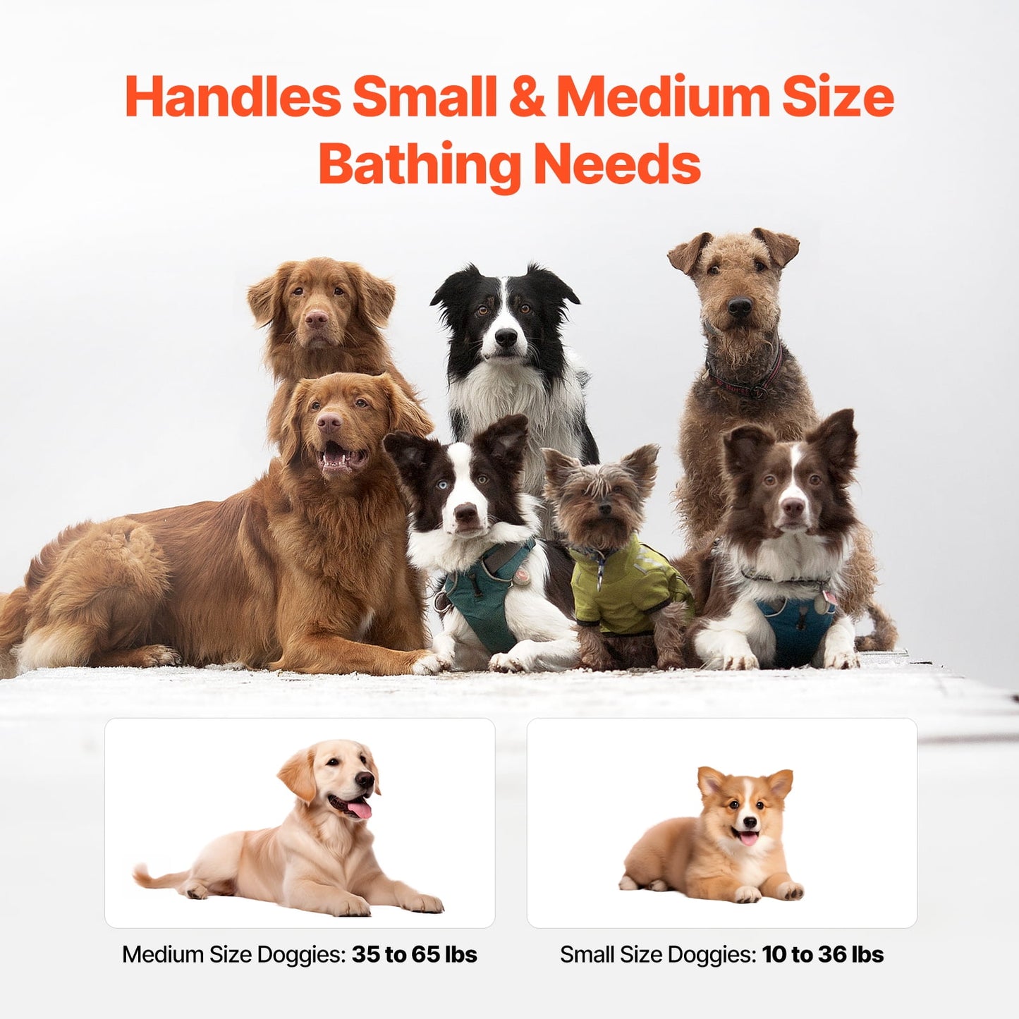 KFFKFF Compact Pet Bathing Tub, Convenient & Collapsible Canine Shower Station with Efficient Drainage System, Suitable for Cleaning & Primping Small to Medium Sized Dogs and Cats