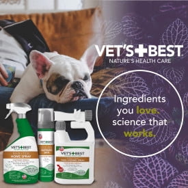 Vet's Best Flea & Tick Waterless Bath Foam for Dogs - Peppermint Scented - 8 oz.