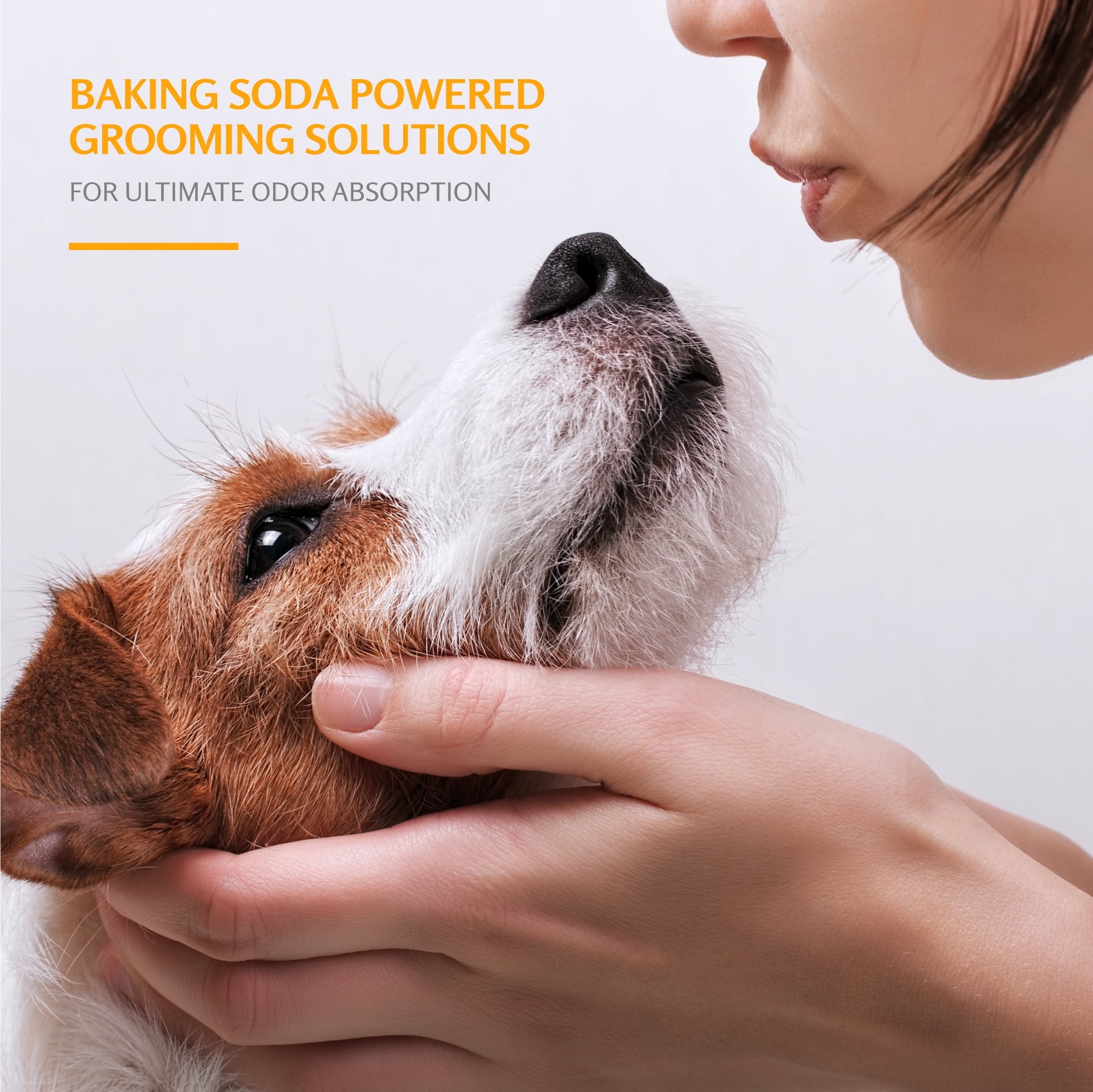 Arm & Hammer Dog Deodorizing Shampoo with Baking Soda, Kiwi Blossom Scent 20 oz