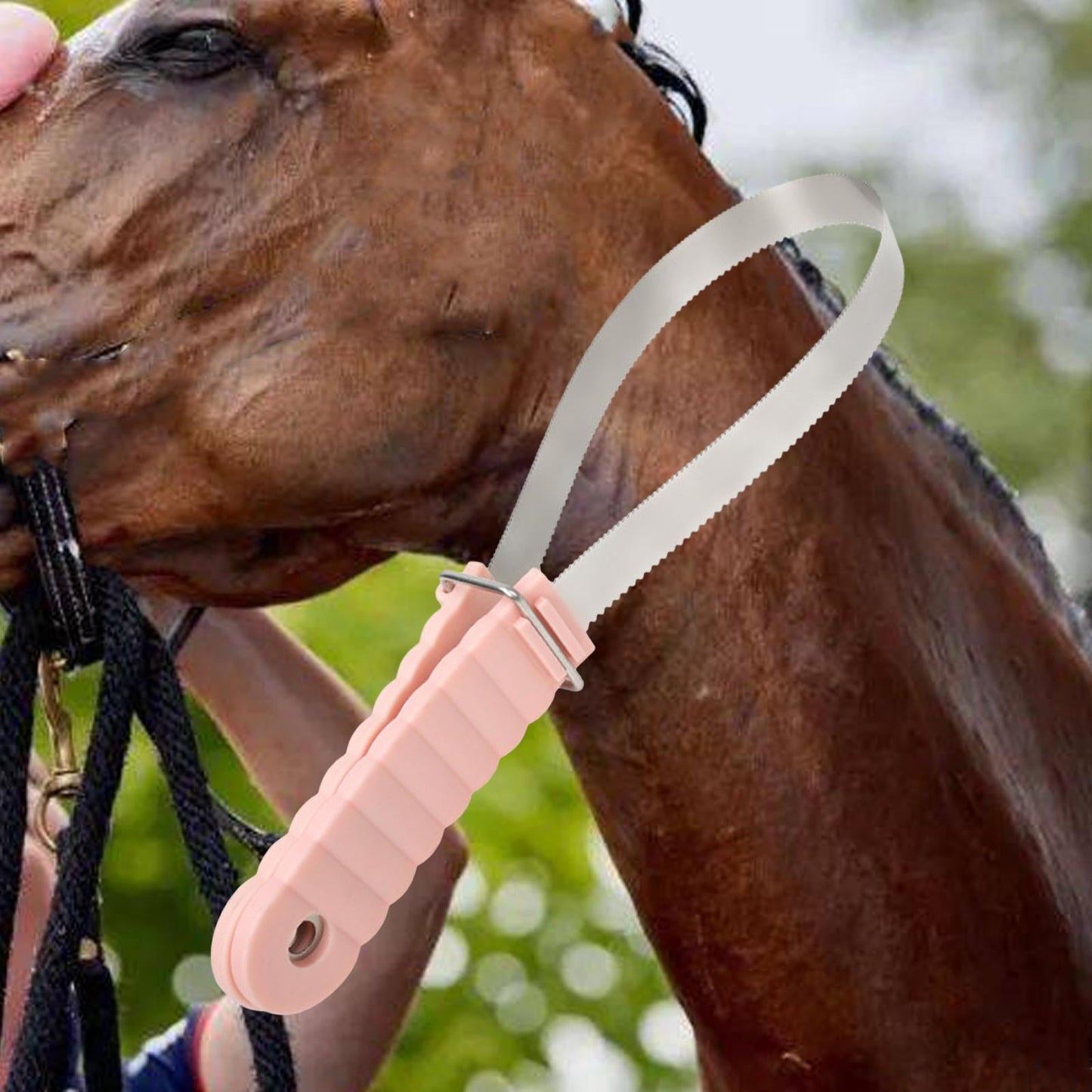koolsoo Horse Brush Blade De Shedding Tool Shaving Metal Shedding Blade Curry Combo Blade for Animal All Dogs Types Cattle Donkeys