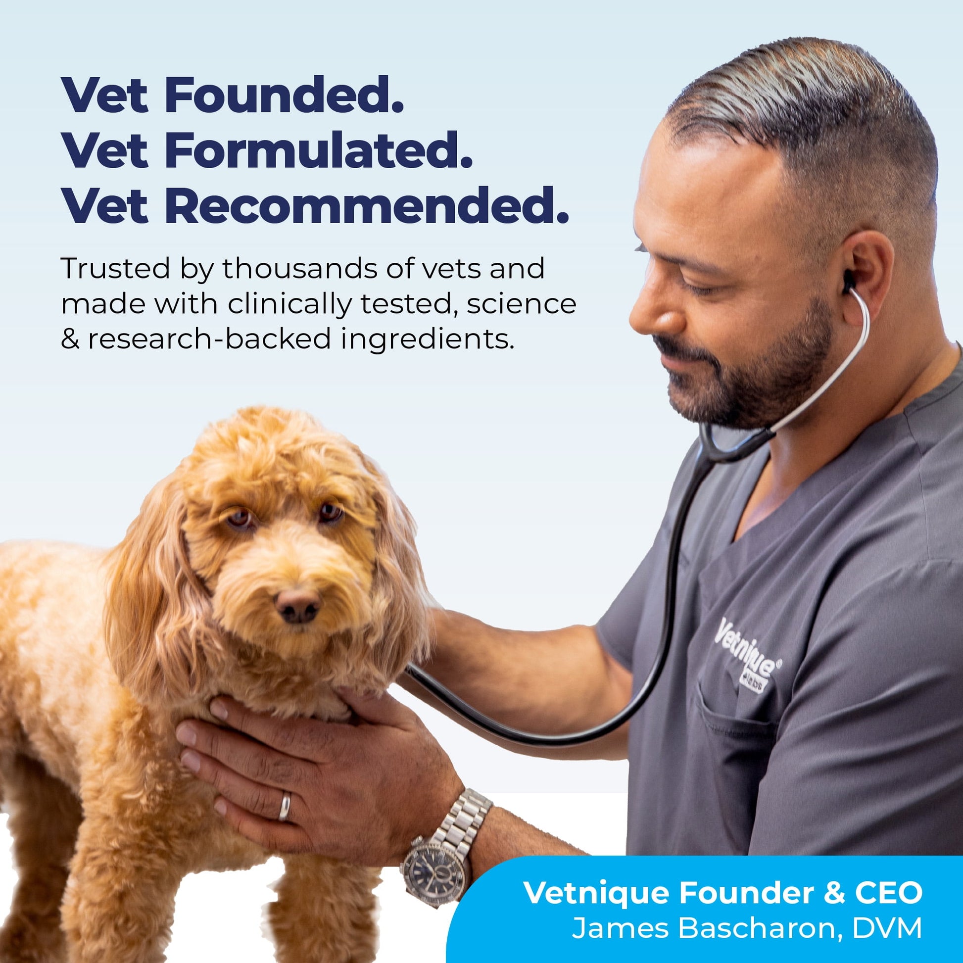 Vetnique Labs Furbliss Hygienic Pet Wipes for Dogs & Cats, Refreshing Scent, 100 Count