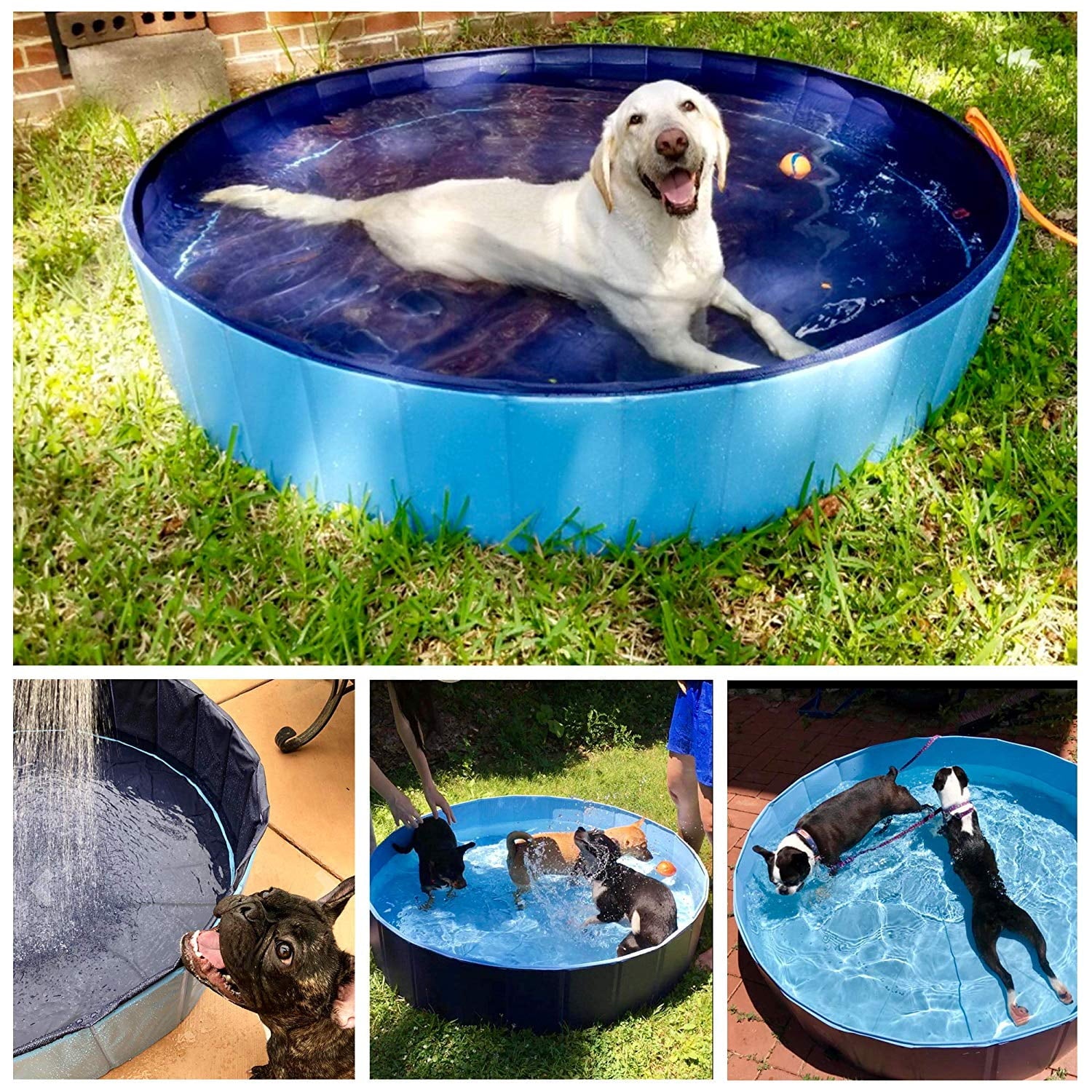Plastic Dog Pool 63" x 12" Inches Foldable Portable Outdoor Grooming Kiddie Pool For Dogs - Blue - XL